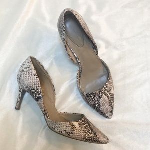 Bandolino Snakeskin Pumps 3 inch heel (Women’s)